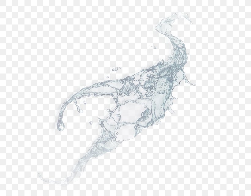Drawing Water /m/02csf Organism, PNG, 640x640px, Drawing, Organism, Water Download Free