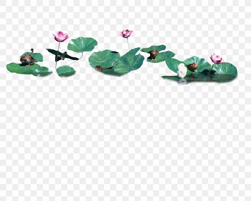 Leaf Nelumbo Nucifera Lotus Effect Clip Art, PNG, 4134x3307px, Leaf, Bud, Coreldraw, Grass, Green Download Free