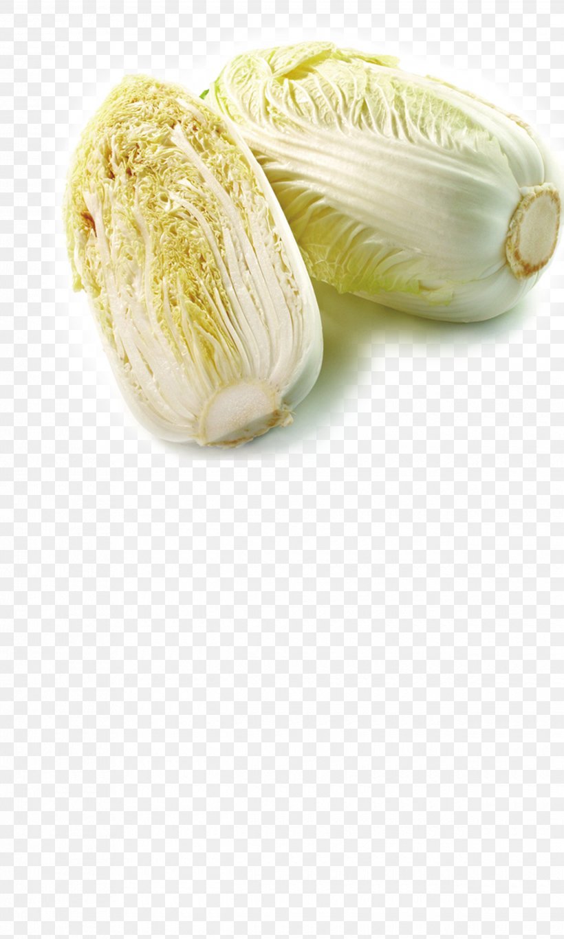 Napa Cabbage Vegetable Carrot Food Umami, PNG, 2480x4134px, Napa Cabbage, Bok Choy, Carrot, Chinese Cabbage, Food Download Free