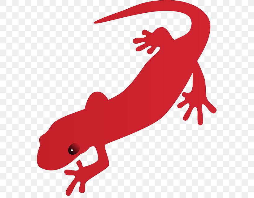 Salamander Newt Clip Art, PNG, 581x640px, Salamander, Amphibian, Animal Figure, Art, Drawing Download Free