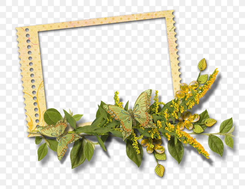 Download, PNG, 800x632px, Picture Frames, Branch, Data, Gimp, Gratis Download Free