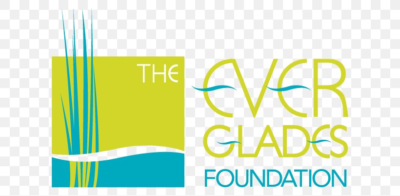 Everglades Foundation Florida Bay Palm Beach County, PNG, 748x401px, Everglades, Area, Brand, Charitable Organization, Community Foundation Download Free