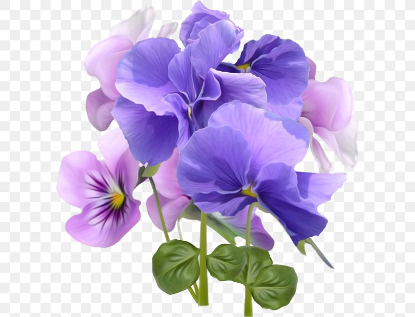 Flower Violet Desktop Wallpaper Purple, PNG, 600x628px, Flower, Annual Plant, Blue, Color, Cut Flowers Download Free