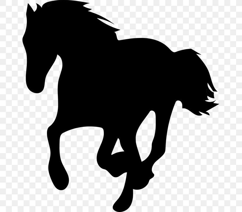 Horse Cartoon, PNG, 667x720px, Mustang, Animal, Animal Figure, Black, Blackandwhite Download Free