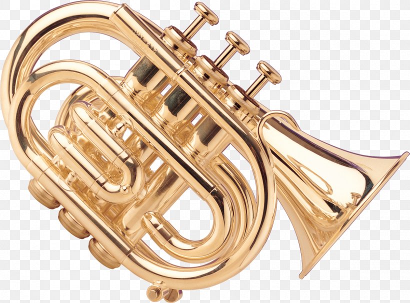 Musical Instruments Wind Instrument Saxophone Brass Instruments Trombone, PNG, 1200x888px, Watercolor, Cartoon, Flower, Frame, Heart Download Free
