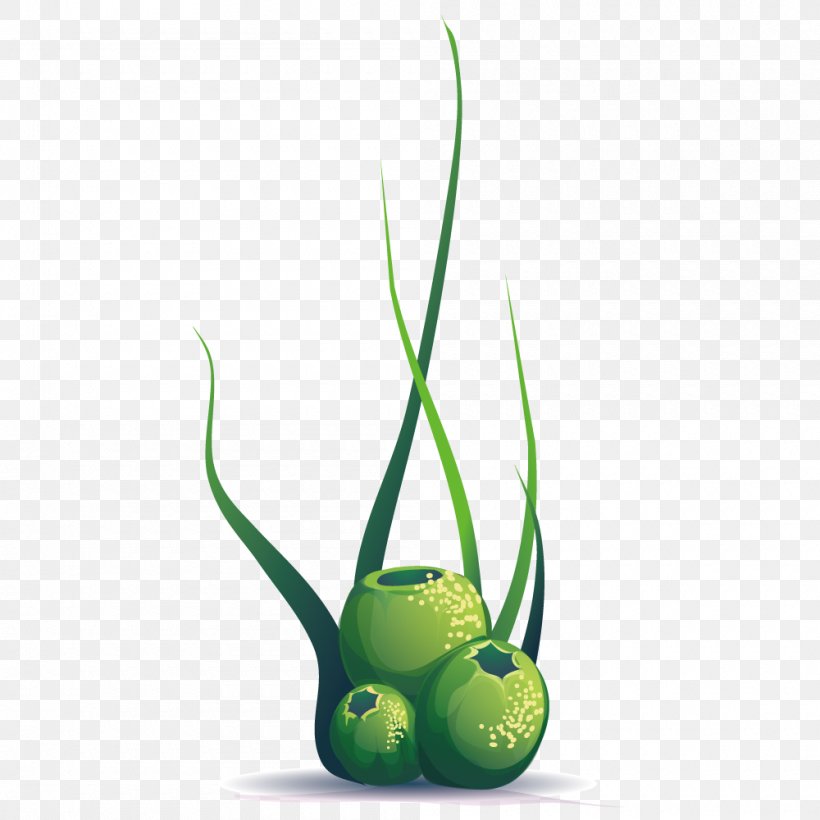 Plant Ball Euclidean Vector, PNG, 1000x1000px, Plant, Algae, Aquatic Plant, Ball, Fruit Download Free