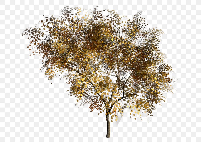 Tree Twig Painting, PNG, 650x581px, Tree, Autumn, Branch, Dandruff, Dressoir Download Free
