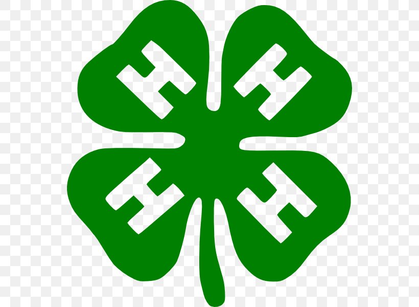4-H Learning-by-doing Organization Positive Youth Development, PNG, 558x600px, 4h Shooting Sports Programs, Learningbydoing, Agricultural Extension, Area, Artwork Download Free
