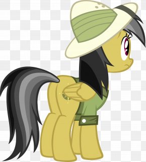 Youtube - Pony Rainbow Dash Twilight Sparkle PNG