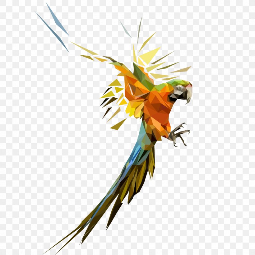 Bird Parrot Geometry Parakeet, PNG, 1000x1000px, Bird, Animal, Art, Beak, Common Pet Parakeet Download Free