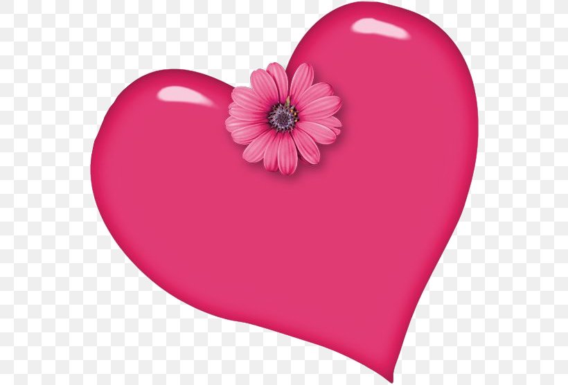 Heart Clip Art, PNG, 566x556px, Heart, Flower, Gold, Love, Magenta Download Free