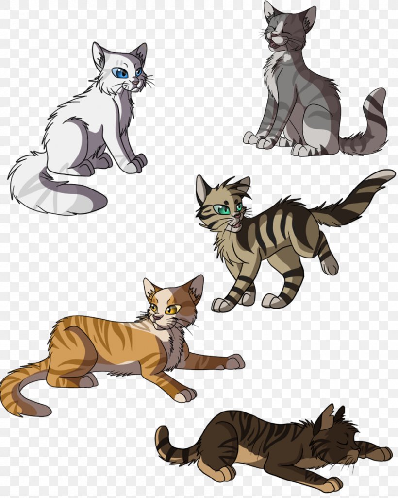 Kitten Golden State Warriors ThunderClan Cat, PNG, 900x1125px, Kitten, Animal Figure, Carnivoran, Cartoon, Cat Download Free