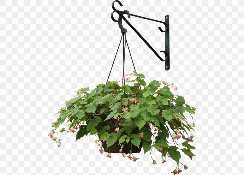 Plants Hanging Basket Clip Art Tree, PNG, 500x588px, Plants, Aspidistra Elatior, Basket, Flower, Flowering Plant Download Free