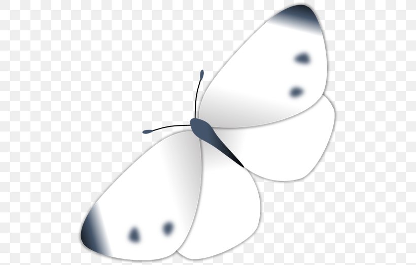 Butterfly Product Design Clip Art, PNG, 519x524px, Butterfly, Arthropod, Black And White, Insect, Invertebrate Download Free