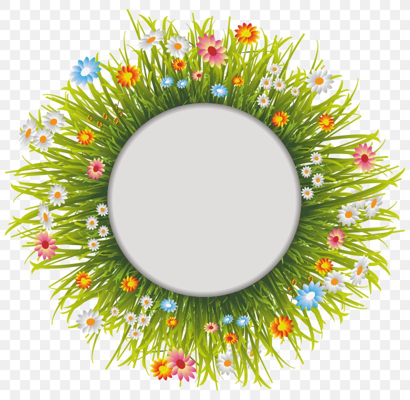 Lawn Flower Picture Frames Clip Art, PNG, 800x800px, Lawn, Chamomile, Common Daisy, Decor, Decorative Arts Download Free