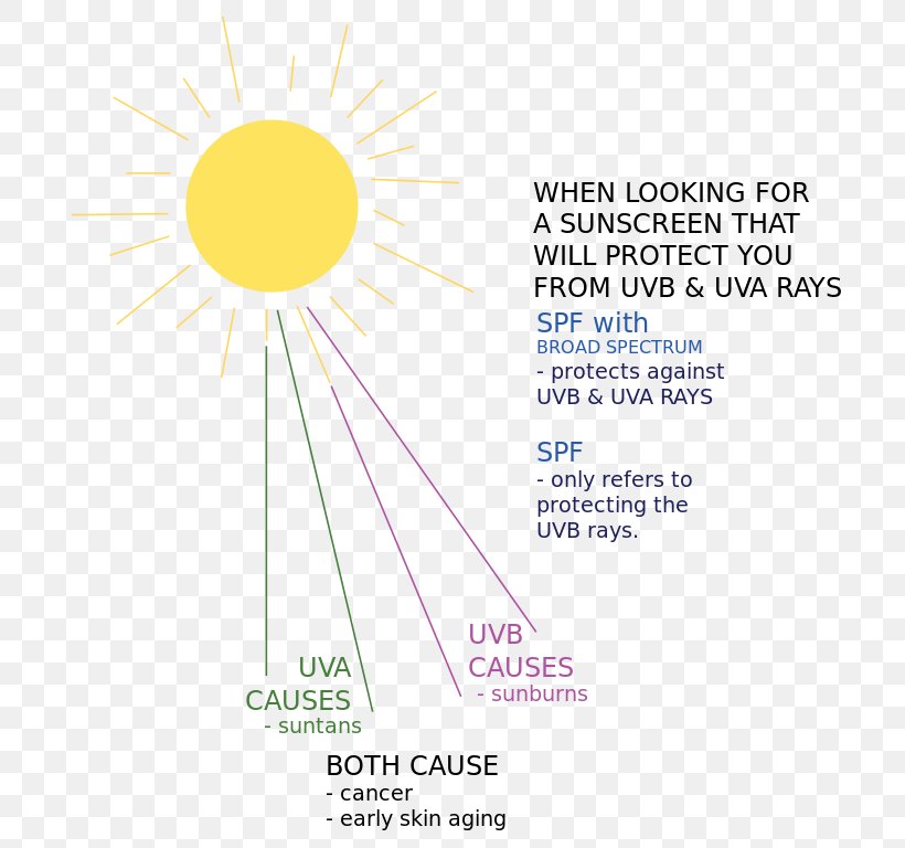 Sunlight Sunscreen Diagram Ray, PNG, 730x768px, Sunlight, Area, Brand, Diagram, Flower Download Free