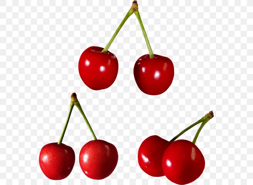 Sweet Cherry Cerasus Berry Food, PNG, 567x600px, Cherry, Acerola Family, Berry, Cerasus, Food Download Free