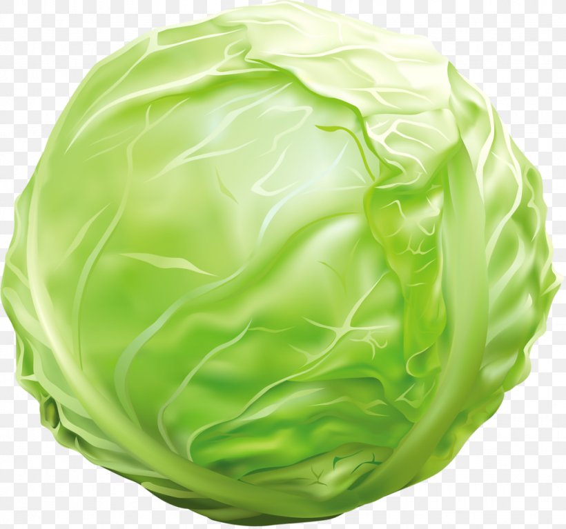 Vegetarian Cuisine Clip Art Cabbage Roll Vegetable, PNG, 1024x958px, Vegetarian Cuisine, Cabbage, Cabbage Roll, Cauliflower, Chinese Cabbage Download Free