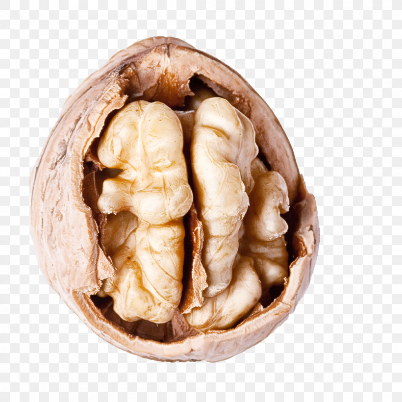 Walnut Nut Food Ginger Plant, PNG, 1000x1000px, Walnut, Food, Ginger, Nut, Plant Download Free