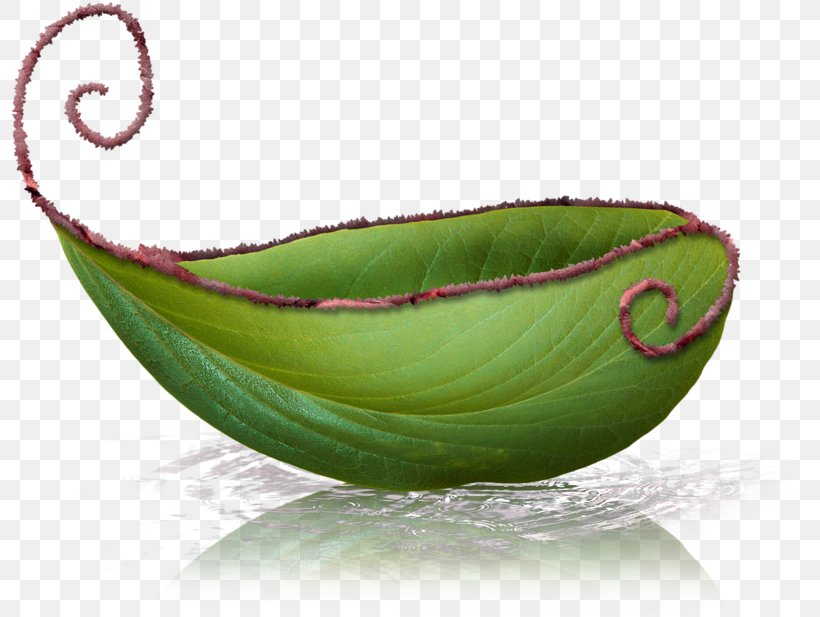 Leaf Boat, PNG, 800x617px, Boat, Barca, Bowl, Computer Software, Data Download Free
