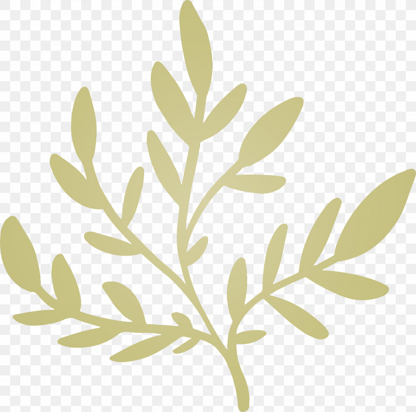 Twig Plant Stem Leaf Meter Plants, PNG, 3000x2973px, Watercolor, Biology, Leaf, Meter, Paint Download Free