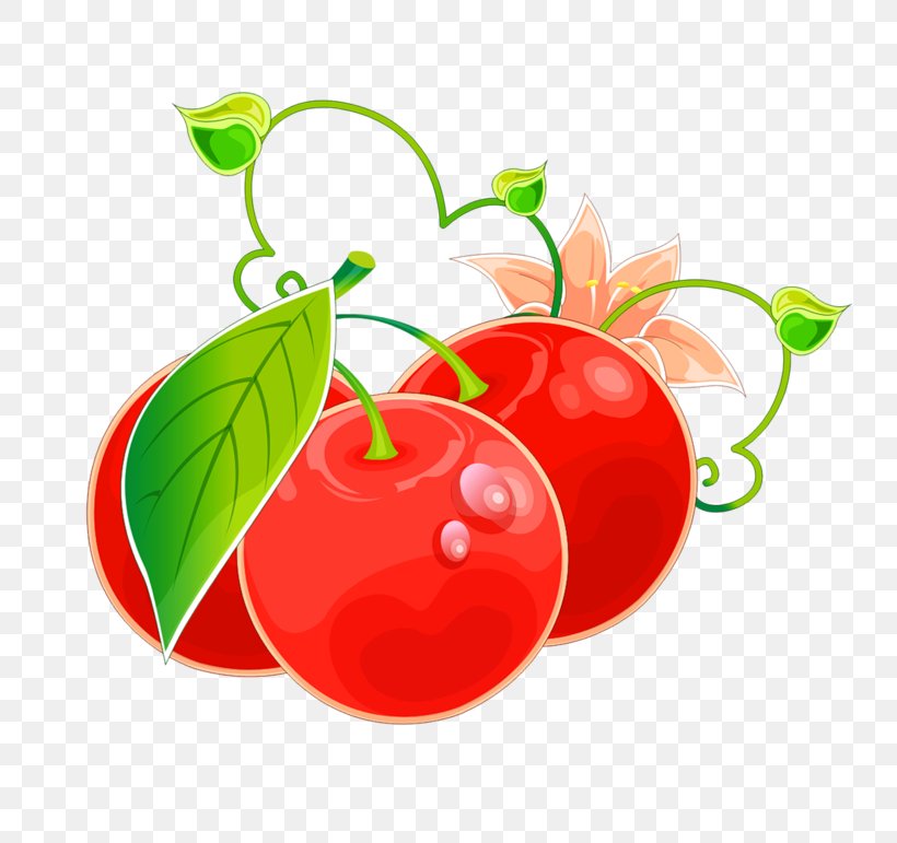 Clip Art Image Food, PNG, 800x771px, Food, Apple, Cherry, Diet Food, Drawing Download Free