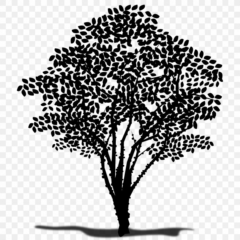 Clip Art Image Silhouette Illustration, PNG, 2400x2400px, Silhouette, Art, Blackandwhite, Botany, Branch Download Free