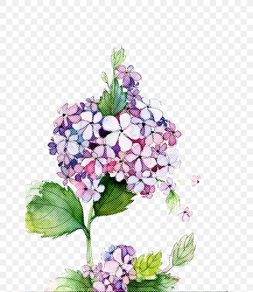 Watercolor Flower Background, PNG, 658x945px, Hydrangea, Bouquet, Cornales, Cut Flowers, Floral Design Download Free