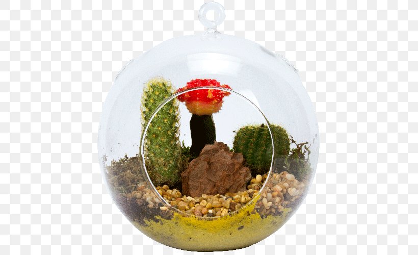 Flowerpot Plant, PNG, 500x500px, Flowerpot, Christmas Ornament, Plant Download Free