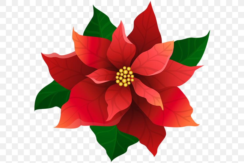 Poinsettia Christmas Clip Art, PNG, 600x546px, Poinsettia, Annual Plant, Art, Christmas, Dahlia Download Free