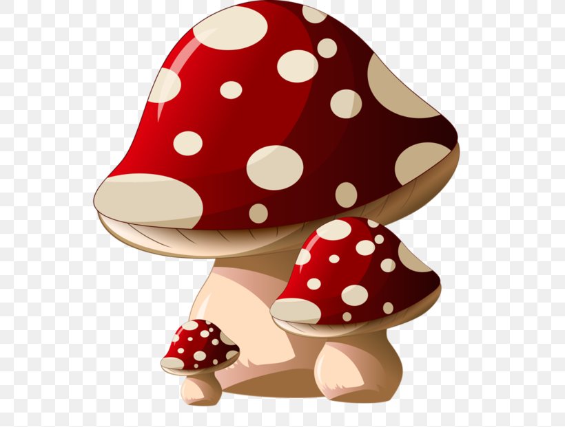 Common Mushroom Amanita Muscaria Clip Art, PNG, 600x621px, Mushroom, Agaricus Campestris, Amanita Muscaria, Common Mushroom, Drawing Download Free