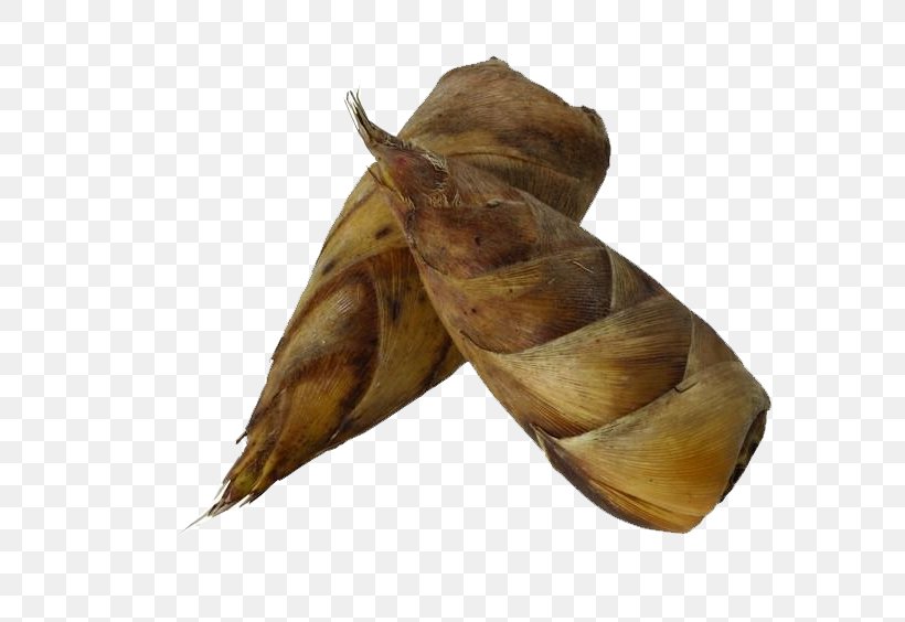 Menma Bamboo Shoot Zongzi Vegetable Food, PNG, 800x564px, Menma, Bamboo, Bamboo Shoot, Fat, Food Download Free