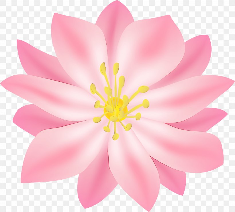 Petal Flower Pink Aquatic Plant Flowering Plant, PNG, 3000x2710px, Watercolor, Aquatic Plant, Flower, Flowering Plant, Lotus Family Download Free