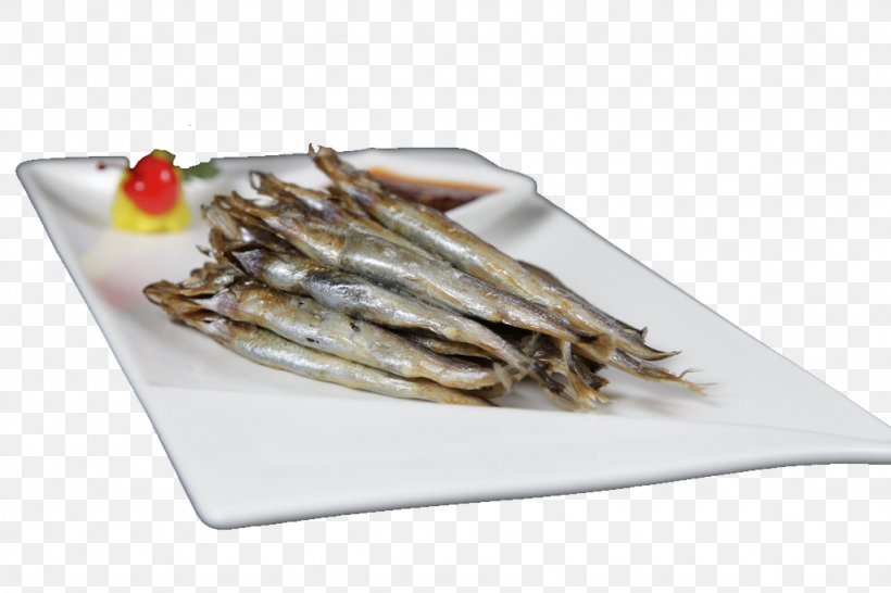 Capelin U591au81a5u9b5a Fish Food, PNG, 1024x683px, Capelin, Anchovy, Anchovy Food, Animal Source Foods, Dish Download Free