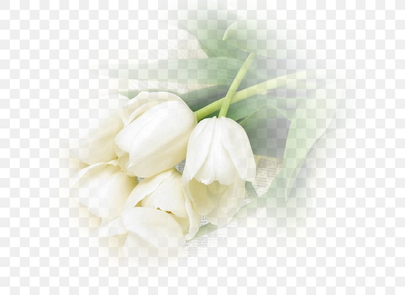 Cut Flowers Tulip Édouard Manet (1832-1883) Küzdés Az élet..: Válogatott Művei. Versek, Dráma, értekezések, Vegyes Feljegyzések, Levelek, PNG, 694x597px, Flower, Blog, Cut Flowers, Flower Bouquet, Flowering Plant Download Free