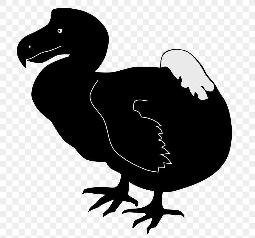 Duck Dodo Bird, PNG, 768x768px, Duck, Beak, Bird, Bird Extinction, Black And White Download Free