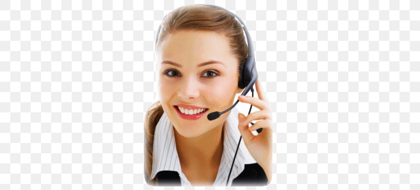 GoGo Geek Service Company Telemarketing Technical Support, PNG, 332x372px, Service, Audio, Audio Equipment, Business, Cheek Download Free