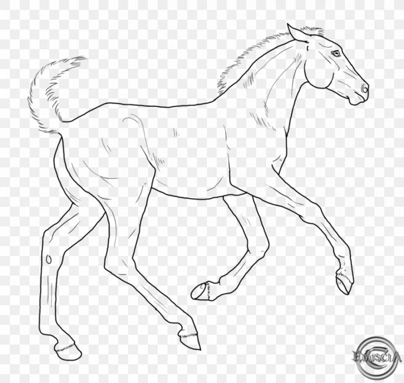 Line Art Foal Pony Colt Bridle, PNG, 917x871px, Line Art, Animal Figure, Art, Artwork, Black And White Download Free