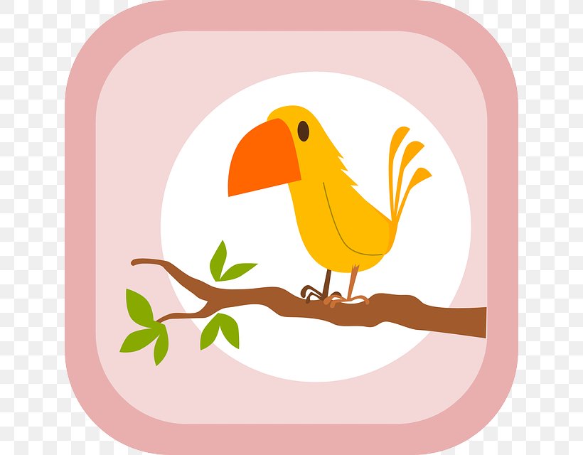 Toucan Parrot Bird Paper Post Cards, PNG, 638x640px, Toucan, Artwork, Beak, Bird, Clothing Download Free