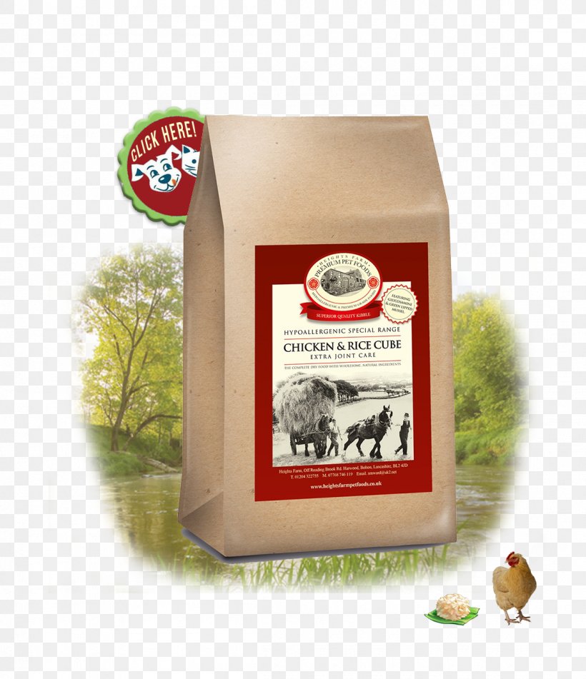 Dog Food Organic Food Puppy, PNG, 1150x1335px, Dog, Dog Breed, Dog Food, Dog Odor, Food Download Free