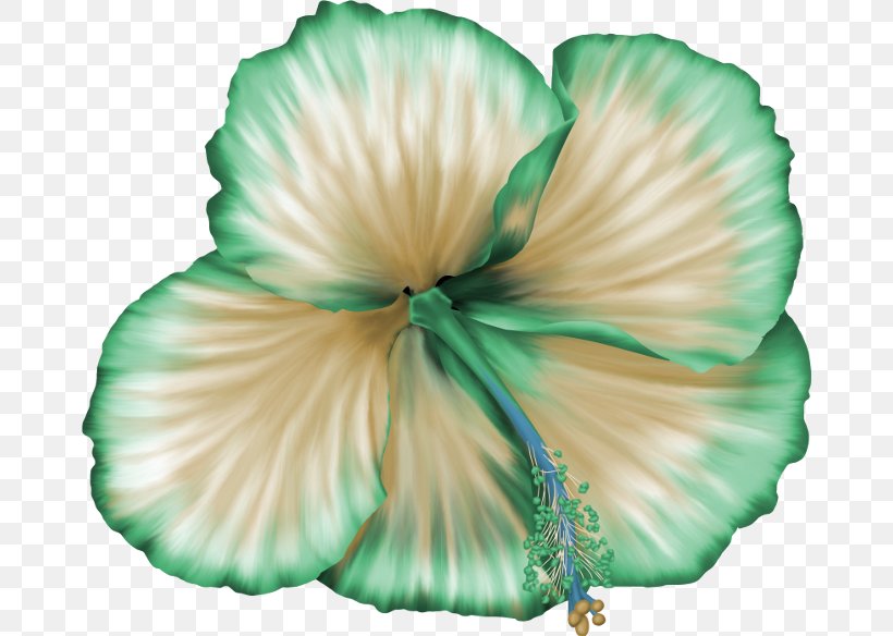 Flower Floral Design Rosemallows Petal, PNG, 670x584px, Flower, Blossom, Floral Design, Flower Garden, Flowering Plant Download Free