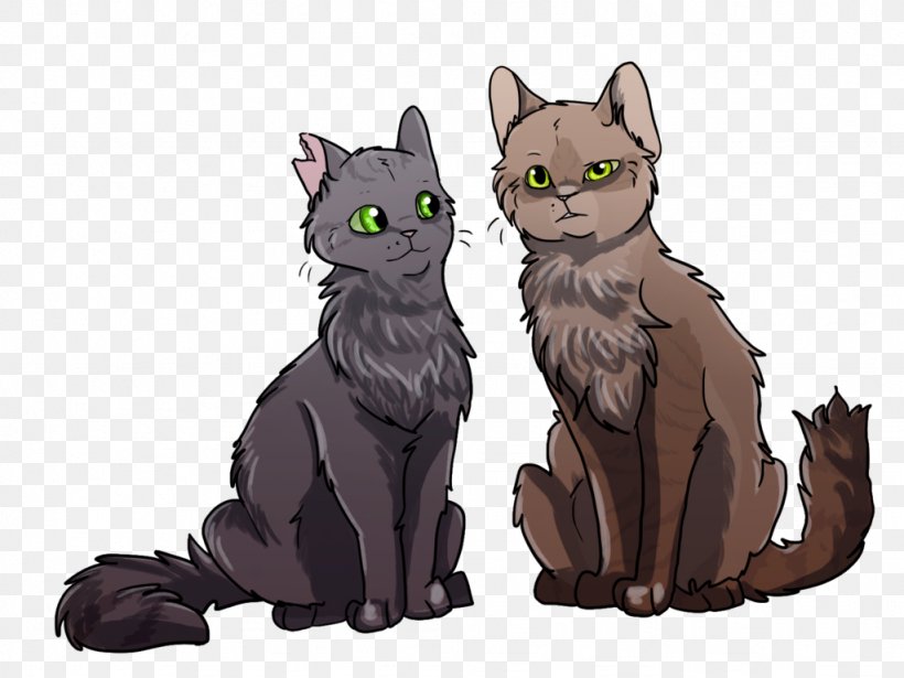 Kitten Korat Whiskers Warriors SkyClan's Destiny, PNG, 1024x768px, Kitten, Art, Carnivoran, Cat, Cat Like Mammal Download Free