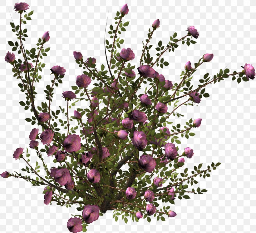 Pink Flowers Shrub Clip Art, PNG, 1307x1188px, Flower, Blossom, Branch, Camellia, Cut Flowers Download Free