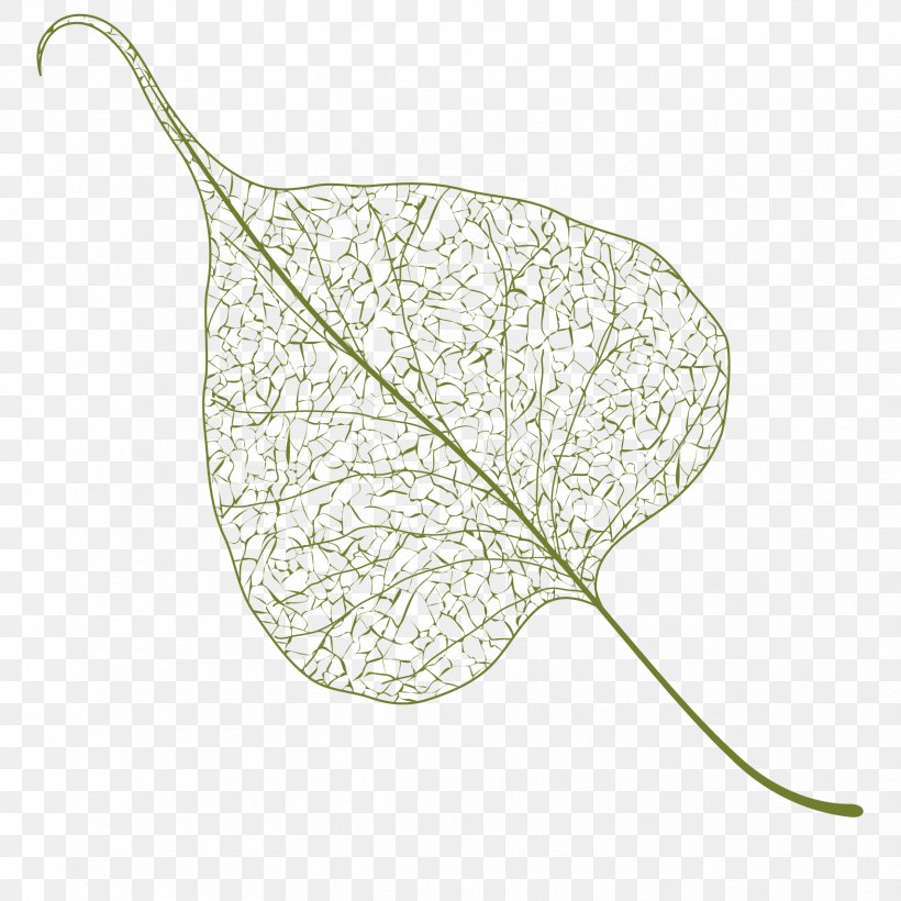 Ficus benghalensis banyan leaf vector icon black and white 12020480 Vector  Art at Vecteezy