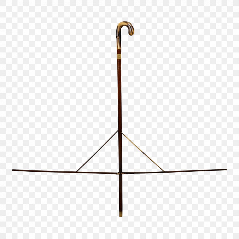 Walking Stick Assistive Cane M.S. Rau Antiques Surveyor, PNG, 1750x1750px, Walking Stick, Antique, Assistive Cane, Bastone, Clothes Hanger Download Free
