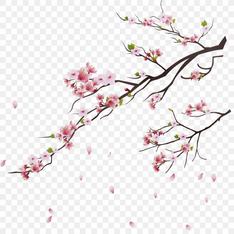 Cherry Blossom Tree Drawing, PNG, 2896x2896px, Watercolor, Blossom, Branch, Cherries, Cherry Blossom Download Free
