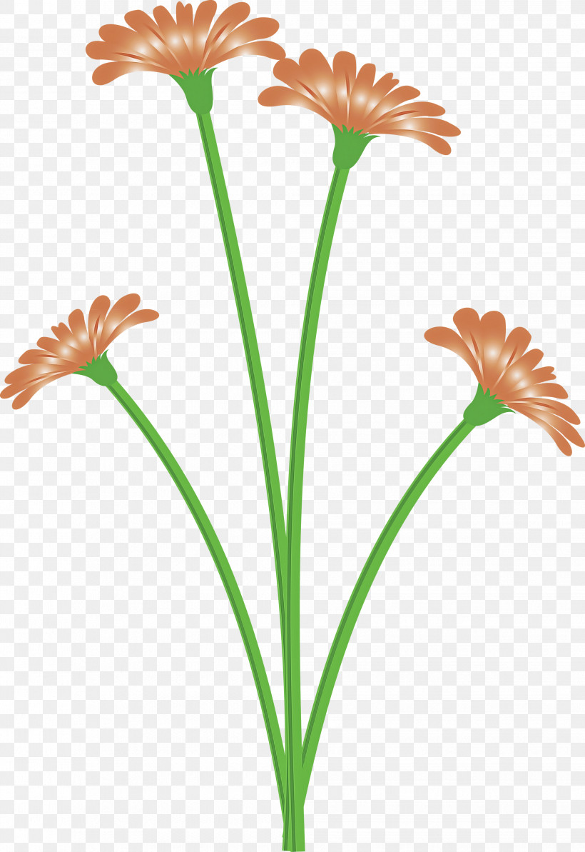 Dandelion Flower, PNG, 2062x3000px, Dandelion Flower, Arecales, Cut Flowers, Daisy Family, Flower Download Free
