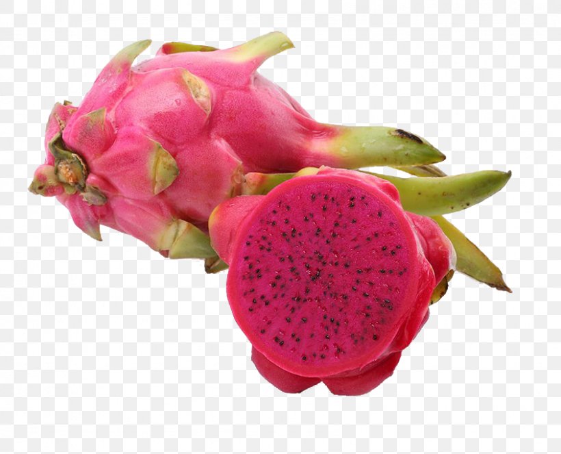 Hylocereus Undatus Pitaya White Auglis Commerce, PNG, 844x683px, Hylocereus Undatus, Auglis, Catty, Commerce, Dragonfruit Download Free