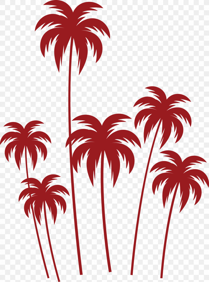 Palm Trees, PNG, 2219x3000px, Leaf, Arecales, Biology, Flower, Line Download Free