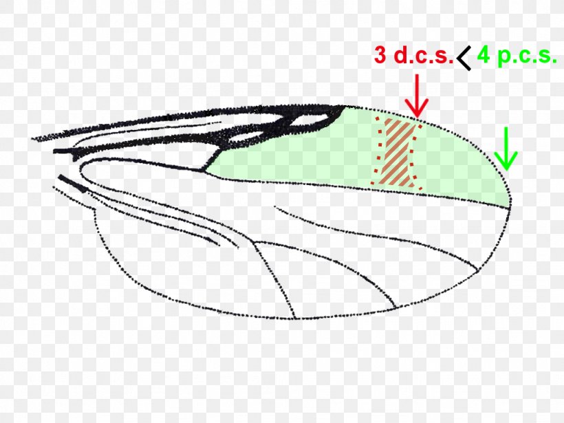 Automotive Design, PNG, 1024x768px, Automotive Design, Area, Car, Cartoon, Diagram Download Free